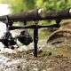 ESP Buzz Bars - 2 Rod