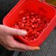 Dynamite Baits Shot Colour & Flavour Enhancer