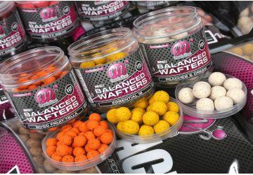 Mainline High Impact Wafters 18mm