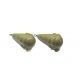 Evolve Tackle Marker Weights