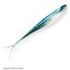 Z-Man Scented Jerk ShadZ - 5"