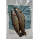 Lucebaits Trout Brown