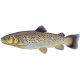 Lucebaits Trout Brown