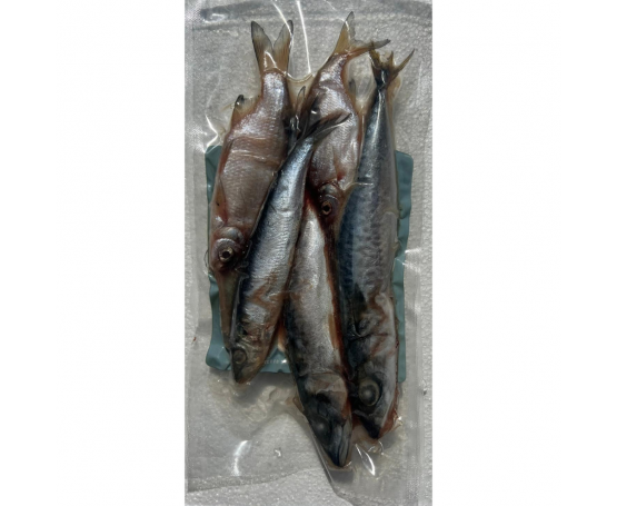 Lucebaits Pike Pack