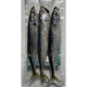 Lucebaits Mackerel