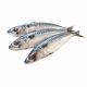Lucebaits Mackerel