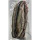 Lucebaits Lamprey