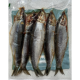 Lucebaits Herring