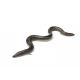 Lucebaits Eel Sections