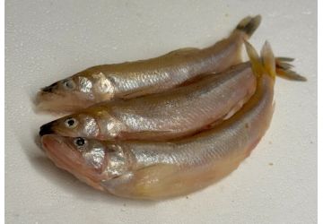 Devon Baits Large Smelt