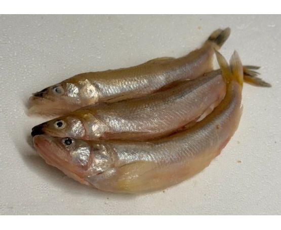 Devon Baits Large Smelt