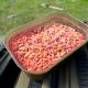 Korum Maggot Bait Tub - 1 Pint