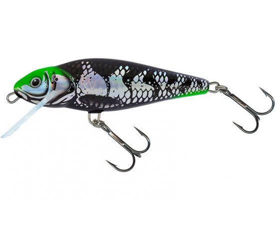 Salmo Perch Floating DR 8cm - Holo Dark Green Head