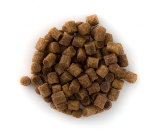 Premium Coarse Pellet 1kg & 5kg
