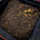 Mainline Match Sweet Marine Groundbait