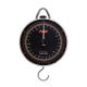 Fox Dial Scales - 60lb
