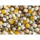 Spod Mix High Protein Pigeon Mix (Dry) 5kg