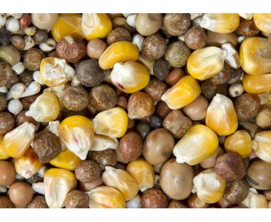 Spod Mix Irish Mix (Dry) 20kg