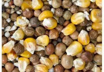 Spod Mix Irish Mix (Dry) 5kg