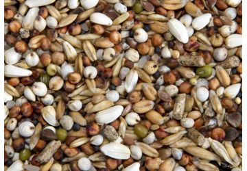 Spod Mix Pigeon TK Conditioner (Dry) 20kg