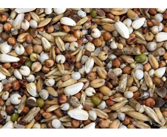 Spod Mix TK Conditioner (Dry) 20kg