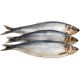 Seafreeze Herring