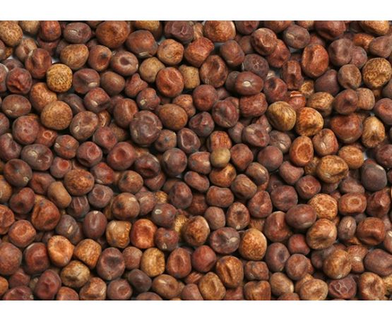 Maple Peas 20kg