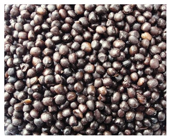 Tares 1kg & 5kg