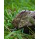 Fox Edges Naturals Copper-Core Leaders - 50lb