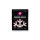 Mainline Bulk Boilie Deals - Iso Fish
