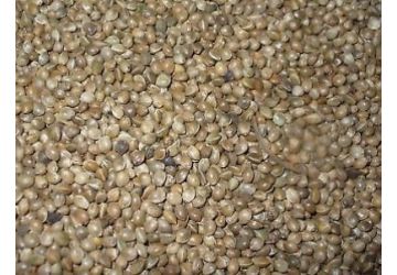 Hemp (Dry) 15kg