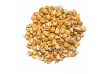 Maize 20kg Maize 20kg