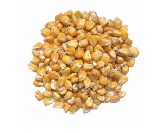 Maize 1kg & 5kg