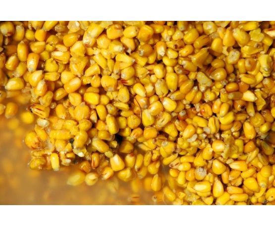 Maize (Cooked) 2kg