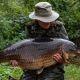 Fortis Chest Waders