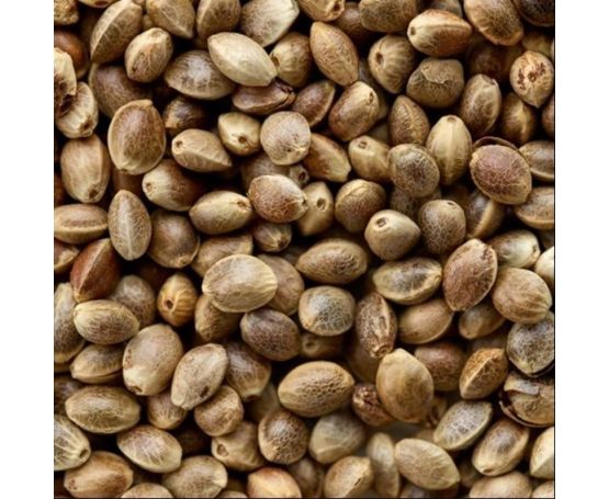 Giant Hemp (Dry) 15kg
