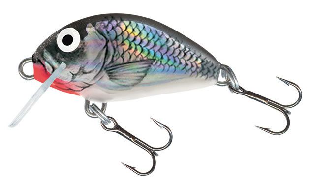 Salmo Tiny Floating 3cm - Holo Grey Shiner - Willow Grange Tackle