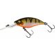 Westin BuzzBite Suspending Crankbait Lure - 6cm