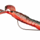 Worm Offset Super Slide Hook 10 pcs