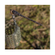 Korum Camo Anti Tangle Sleeves