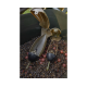 Korum Bopper Bait Dropper