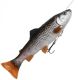 Savage Gear 4D Line Thru Pulse Tail Trout 16cm - 51g