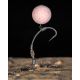 Korda Spinner Hook - Barbed