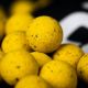 Mainline Shelf Life Boilies - Essential Cell