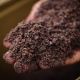 Sticky Bait Bloodworm Spod & Bag Mix