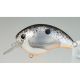 Shimano Bantam World Rush 56F Flash Boost 5.5cm - Black Back