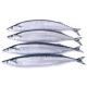 Lucebaits Blueys