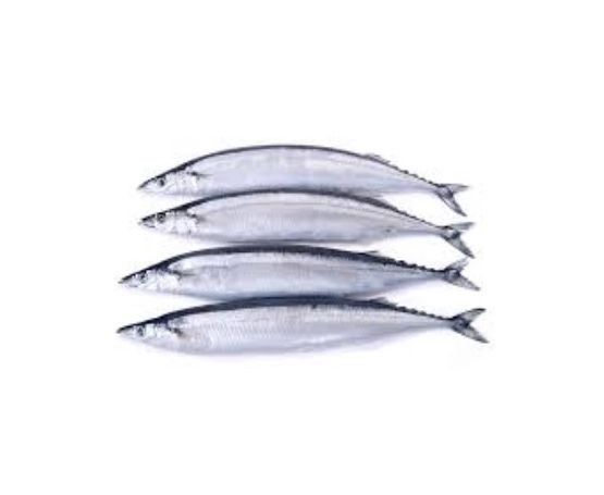 blueys bait and tackle