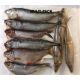 Lucebaits Pike Pack