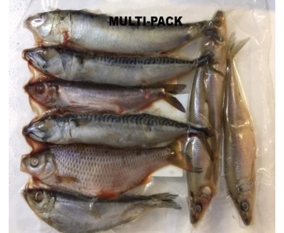 Lucebaits Pike Pack